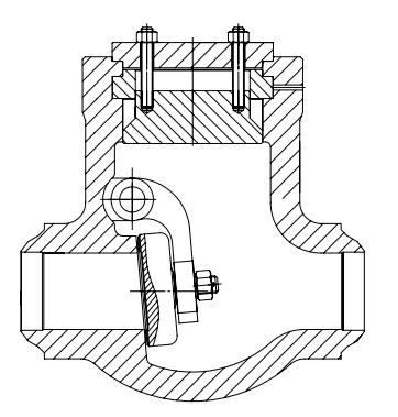 Pressure Seal Check Valve