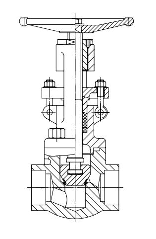 FORGED STEEL GLOBE VALVE